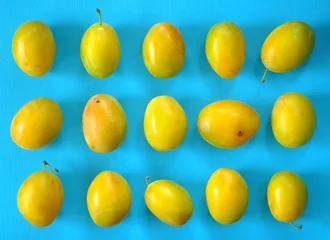 Fotobehang yellow plums in rows, flat lay, fresh fruits, free copy space, turquoise background, © Kirsten Hinte
