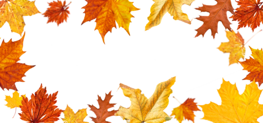 frame from autum colored fall leaves in the wind isolated on transparent background, overlay texture with copy space in the middle