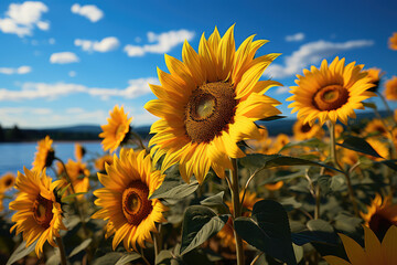 Vibrant sunflower field stretching towards the horizon, ai generated.