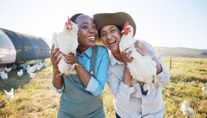Portrait, teamwork or farmers chicken on farm or field harvesting poultry livestock in small...