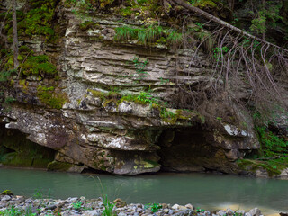 Scenic view of canyon with river and green trees in summer in Carpathian mountains. Beautiful rocky canyon in Ukraine. Travel, hiking, adventure. River coursing in canyon through the coniferous woods.
