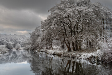 Drzewa odbijające się w rzece w zimowym krajobrazie