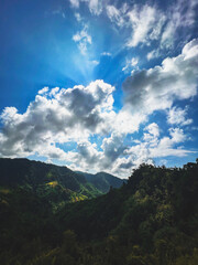 Golden whispers of dawn, as sunrays paint the world awake