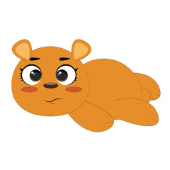 Cartoon funny baby bear vector illustration