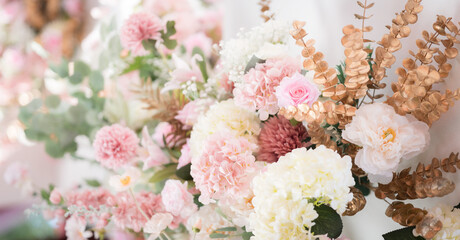 beautiful rose flower	