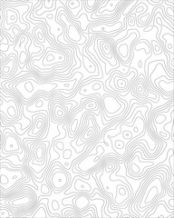 Topographic Map Vector Patterns. Topographic Maps can be used as backgrounds for brand projects, fabrics, packaging, fashion apparel, posters, wrapping paper and printouts.