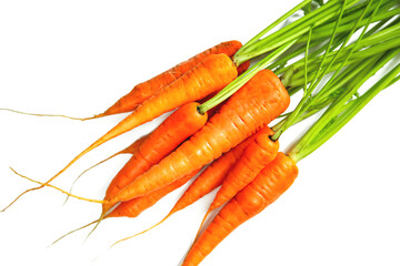 Bunch of fresh carrots isolated on white background.