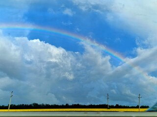 View of a rainbow in a field with yellow millet. Bright blue sky with clouds