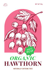 Hawthorn berries and leaves set. Hand drawn herbal plants. Herbal tea design. Sketch vector illustration.