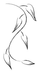 plant hand drawing line chalk style 