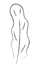 plant hand drawing line chalk style 