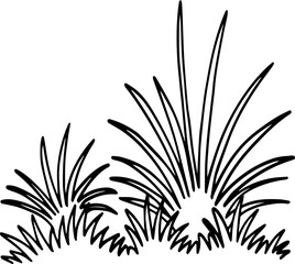 hand drawn bush illustration.