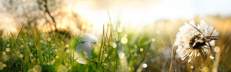 Glass globe earth ball europe on green grass forest with morning sun light, environment, save world...