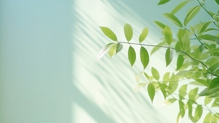  a plant with green leaves on a light blue background with a shadow.  generative ai