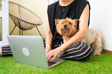 Female Business Owner with Yorkshire Terrier Working Remotely on Laptop