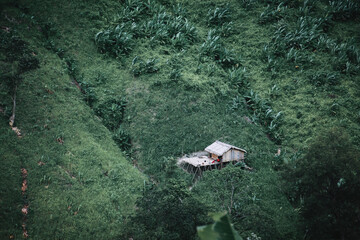 Exploring the wilderness, discovering my own wild heart