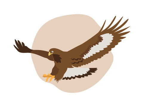 Bird of prey golden eagle. Vector flat cartoon illustration on freehand green spot background