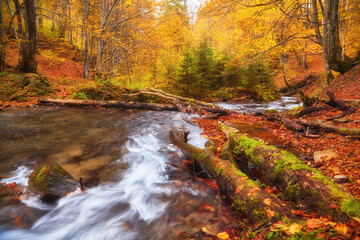 Autumn's Serenade: A Serene River Journey Through the Enchanting Forest