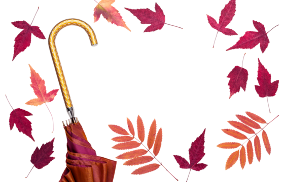 Female fashion autumn golden umbrella and dry leaves frame cut out on transparent background