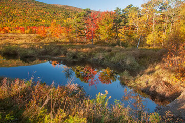 beautiful autumn landscape with a pond and reflection of colorful trees in the water. Acadia National Park. USA
