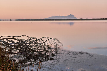 Dawn at lake Fogliano, Circeo National Park, Italy