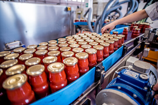 The working process of production of tomatoes to canned food and vegetable factory. Workers on the production of canned food. Processing tomato. Sicily Italy.