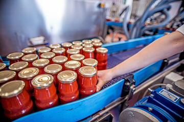 The working process of production of tomatoes to canned food and vegetable factory. Workers on the...