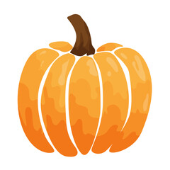 Vector drawing. Pumpkin. Autumn pumpkin. Yellow pumpkin