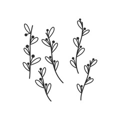 Fototapeta na wymiar Floral branch and minimalist leaves for logo or tattoo. Hand drawn line wedding herb, elegant wildflowers. Minimal line art drawing for print, cover or wallpaper