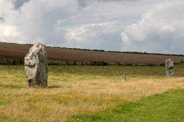 Stones along the West Kennet Avenue World Heritage Site