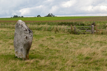Stones along the West Kennet Avenue World Heritage Site