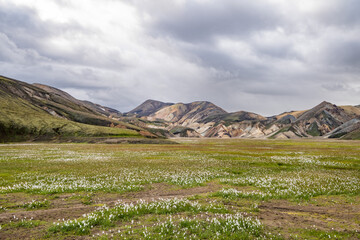 Fototapeta premium canyon in landmannalaugar, iceland