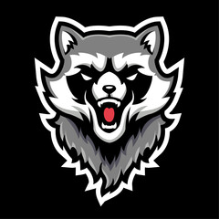 raccoon mascot, Sport or e sports raccoon logo concept