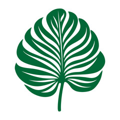 tropical leaf