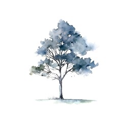 Tree isolated on white background in watercolor style