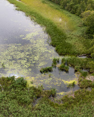 Next to Sivers  lake.Landscape, Latvia, in the countryside of Latgale.