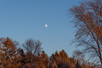 Almost Full Moon In A Late Afternoon Sky In December In Wisconsin