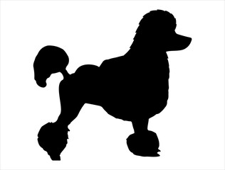 Poodle dog silhouette vector art