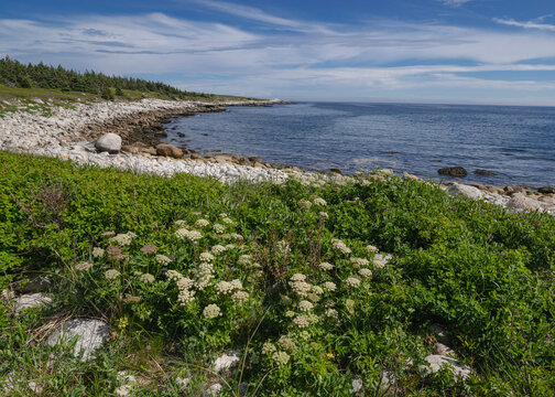 Rocky Coastline by the Atlantic Ocean, Dr. Bill Freedman Nature Preserve, Nature Conservancy of Canada, Nova Scotia, Canada, North America