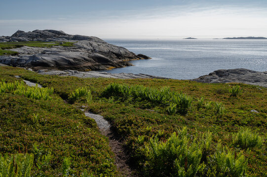 Rocky Coastline by the Atlantic Ocean, Dr. Bill Freedman Nature Preserve, Nature Conservancy of Canada, Nova Scotia, Canada, North America
