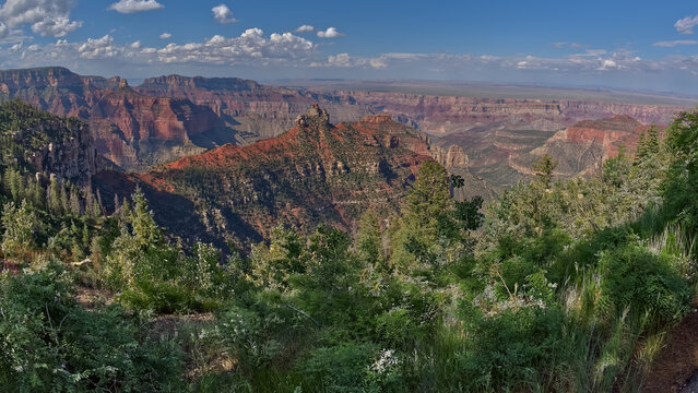 View of Brady Peak from the Vista Encantada Picnic area on Grand Canyon North Rim, Grand Canyon National Park, UNESCO World Heritage Site, Arizona, United States of America, North America
