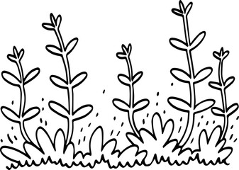 hand drawn bush illustration.