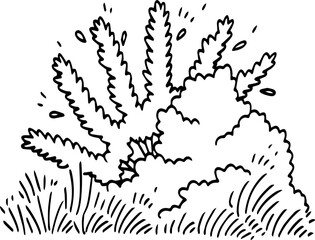 hand drawn bush illustration.