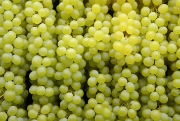 White wine grapes in a market