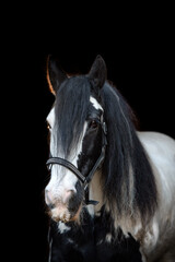 Obraz premium Schnurri