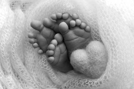 Legs, toes, feet and heels of newborn twins. Wrapped in a knitted blanket. Studio macro photography, close-up. Black and white photographs. Knitted hearts in the legs of twins. Two newborns.