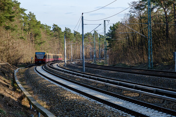 Obraz premium Train driving along the forest in Germany.
