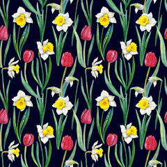 Obraz premium Watercolour tulips and daffodils spring flowers illustration seamless pattern. On dark background. Hand-painted. Floral elements, leaves.
