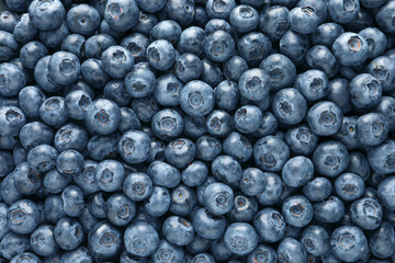 Tasty fresh blueberries as background, top view