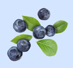 Many ripe blueberries and green leaves falling on light blue background
